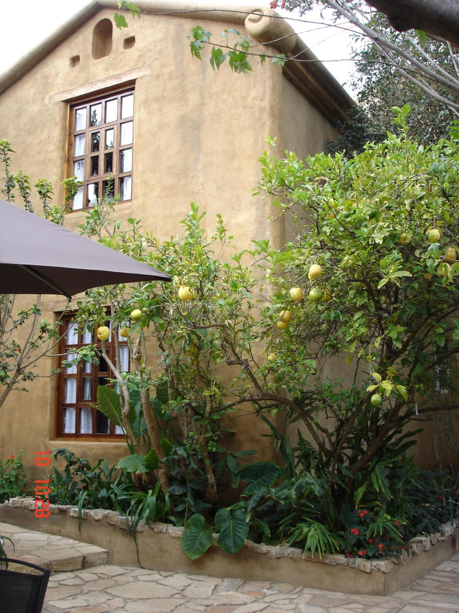 Guayaba Inn Boutique Hotel San Cristóbal de Las Casas Eksteriør bilde